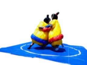 Sumo Suit