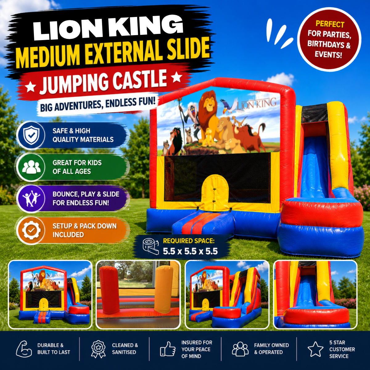 Lion King Medium External Slide Jumping Castle