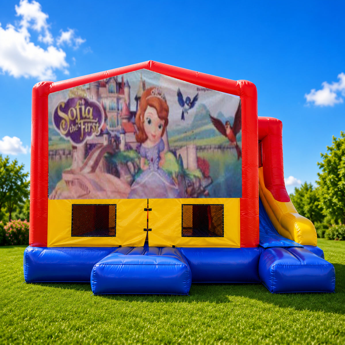 Sofia the First Small External Slide Jumping Castle