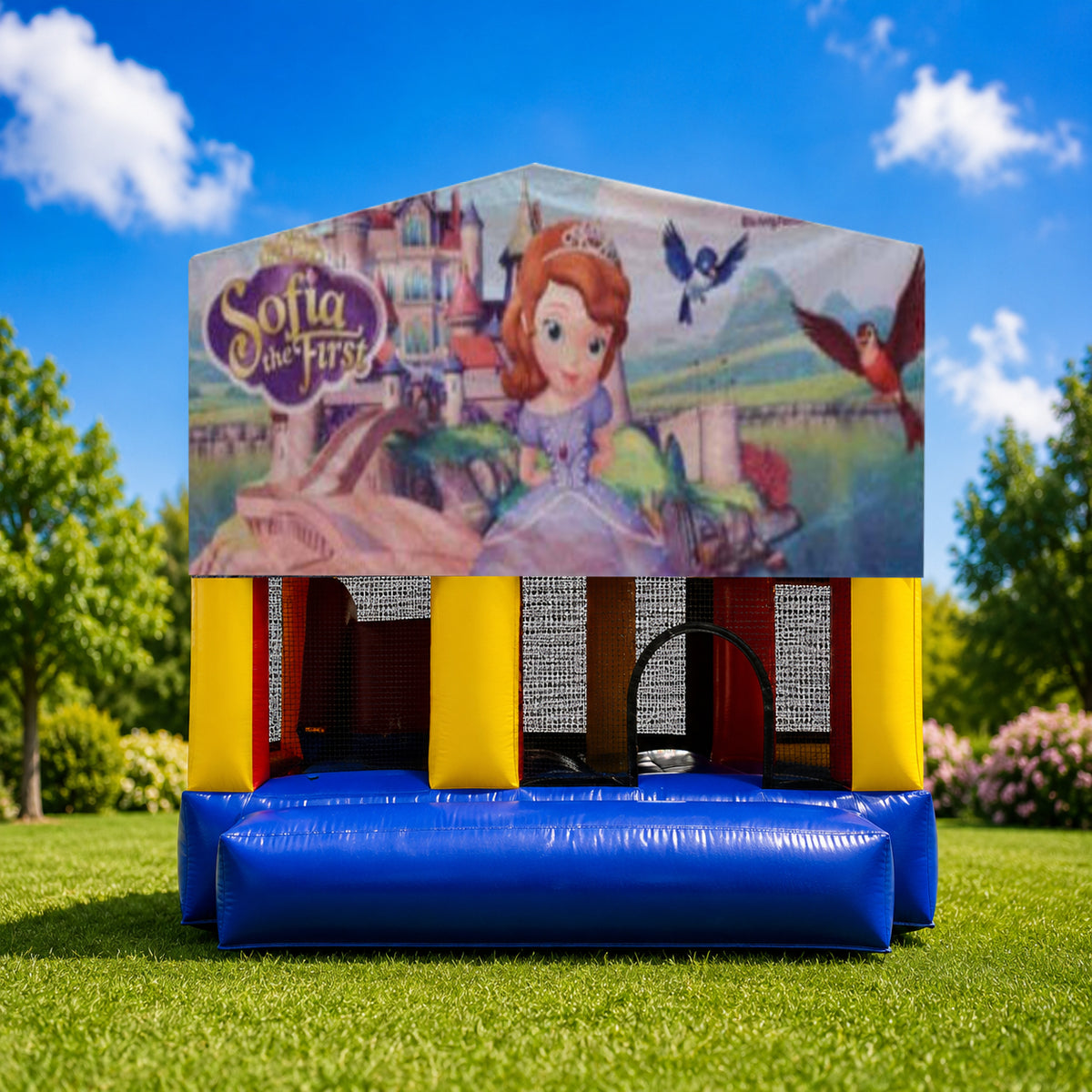 Sofia the First Small Slide Jumping Castle