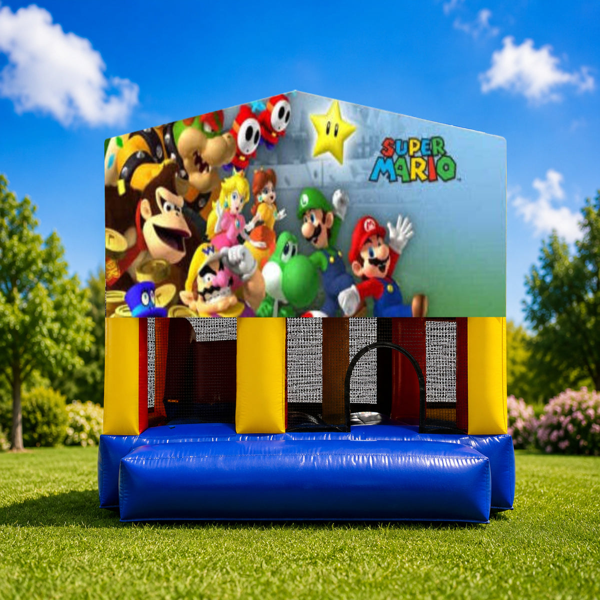 Super Mario Small Slide Jumping Castle