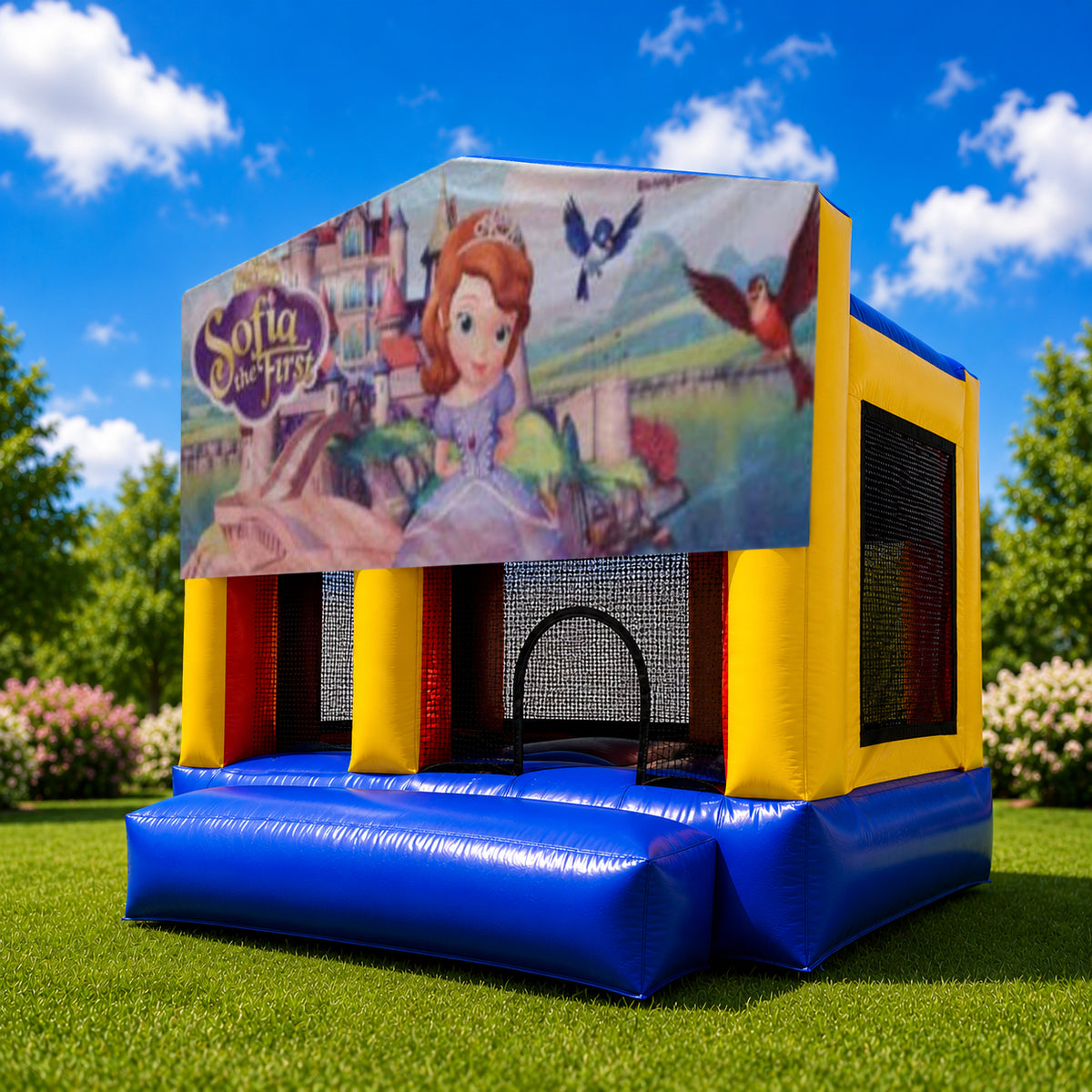 Sofia the First Small Slide Jumping Castle